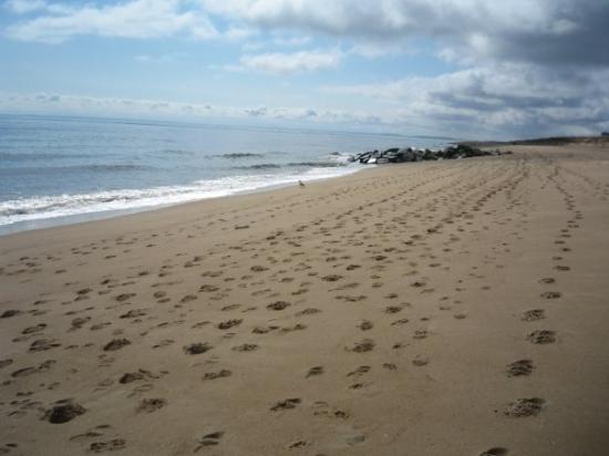 Plum Island, MA Header Image