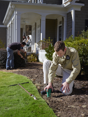 monitor-install for termites in the ground