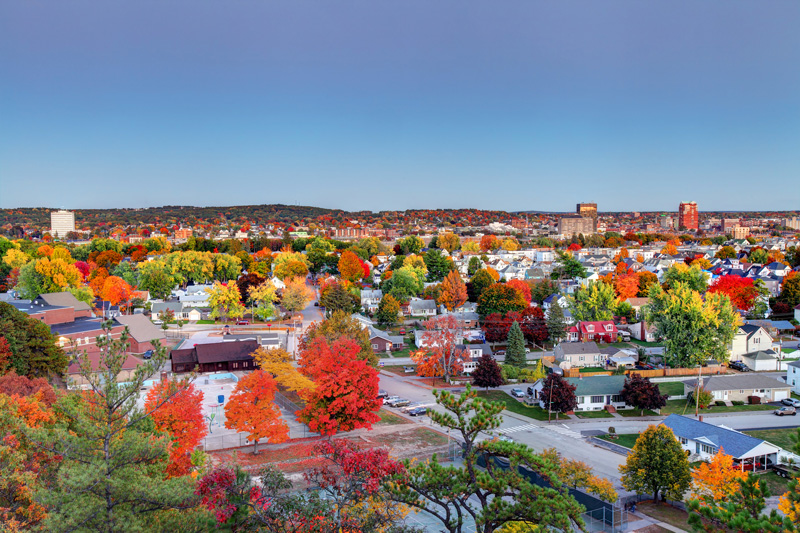 Aerial view of residential area during autumn season.