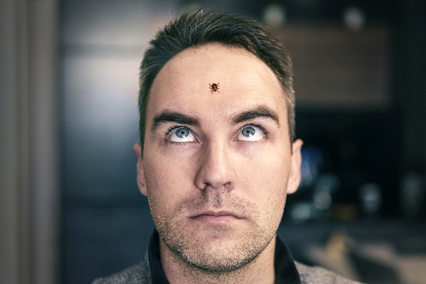 a tick crawls on the head of a man. A young guy was scared of an insect. The concept of fear of insects.