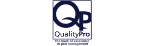 1QP logo